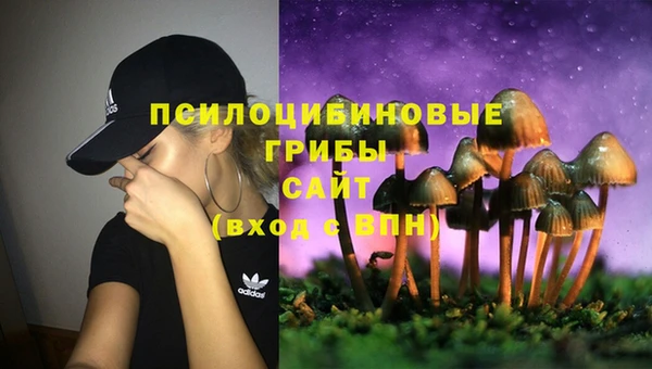 Альфа ПВП Армянск