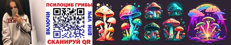 Галлюциногенные грибы MAGIC MUSHROOMS  как найти   Михайлов 